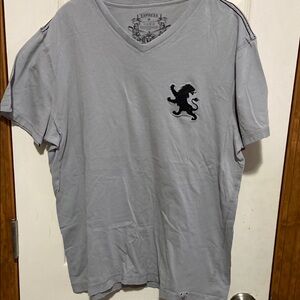 Express Gray V-Neck Men's Shirt